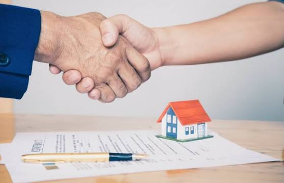 Real Estate Brokerage & Agencies